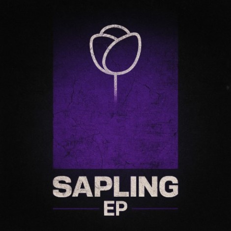 Sirgardino - Sapling Ep (2026) mp3