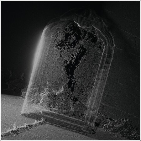 Visible Cloaks - Paradessence (2026)