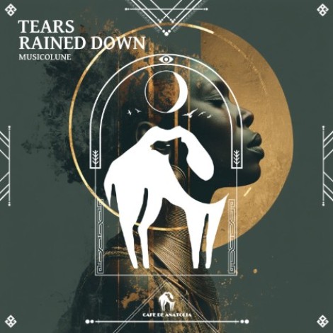 Musicolune - Tears Rained Down (2026) mp3