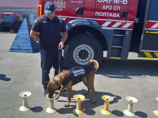 Команди розуміє лише англійською: полтавським рятувальникам допомагатиме пес Оскар, який народився у Камбоджі