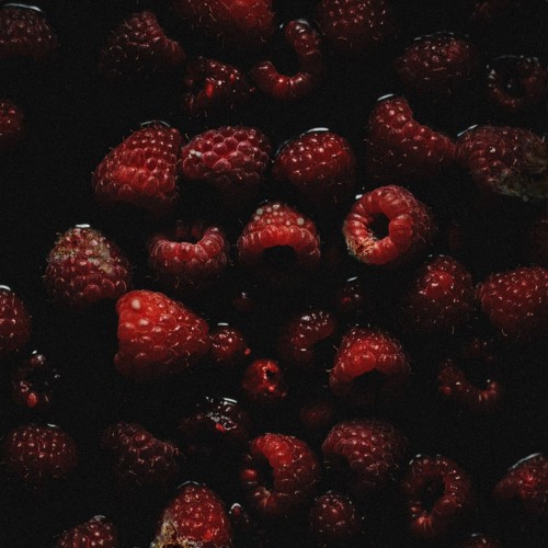 Sorry X - Afterthought (Rot) (EP) (2026)