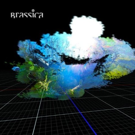 Brassica - CAGE (2026) flac
