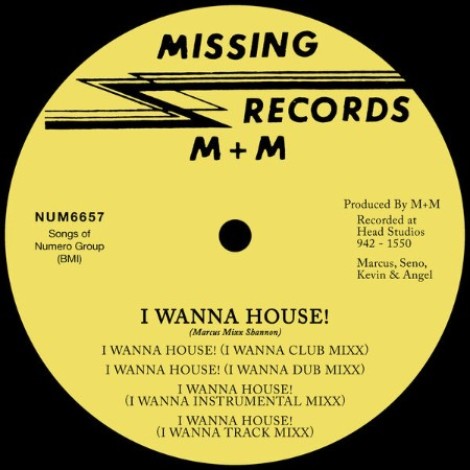 M plus M - I Wanna House! (2026) mp3