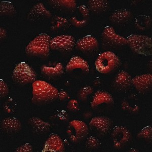 Sorry X - Afterthought (Rot) [EP] (2026)