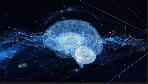 [Image: d34161277f57362bb47f1fb7f0080c0d.jpg]