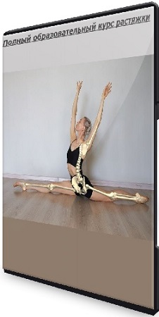 постер к [My Pole Space] Полный образовательный курс растяжки (Кристина Думанская) (2025) PCRec