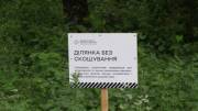 В Киеве увеличивается количество участков с естественным режимом содержания травяного покрова