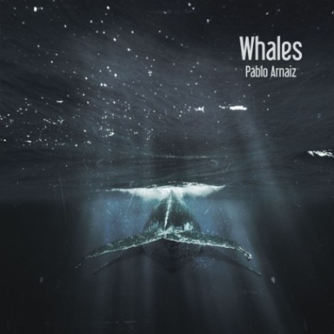 Pablo Arnaiz - Whales (2026) flac