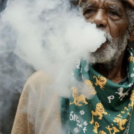 Freddy Fresh - Rast-Cha (2026) flac