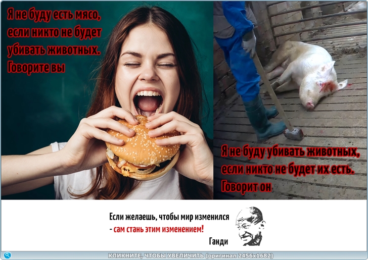 https://i127.fastpic.org/big/2026/0613/cc/fd1df3beb2e1aa60e85aadf994eaa8cc.jpg