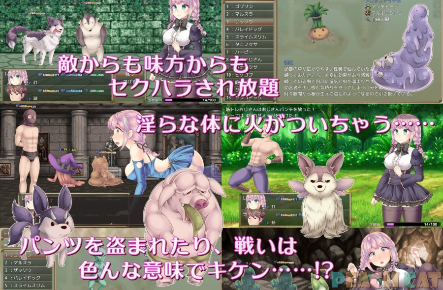PEACH CAT - Sister Maiden Ver.1.00d Adult Game