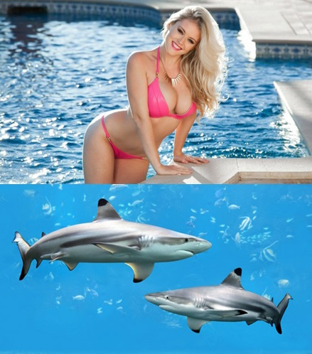 Mixturka - Wallpapers Collection 313