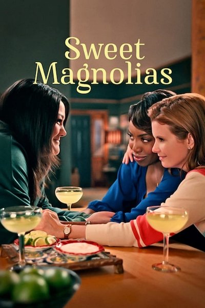 Sweet Magnolias S05E10 720p HEVC x265-MeGusta