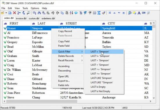 DBF Viewer 2000 v9.22 Multilingual