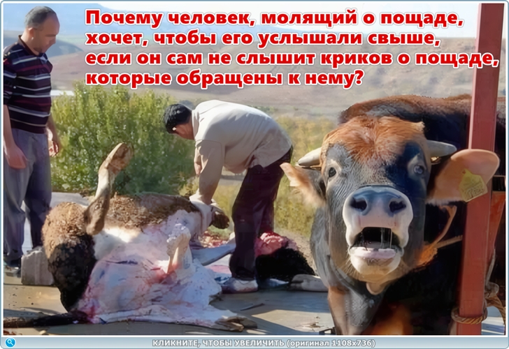 https://i127.fastpic.org/big/2026/0616/a7/67b20cfb68739f6c4d36e8b0bb4e4aa7.jpg
