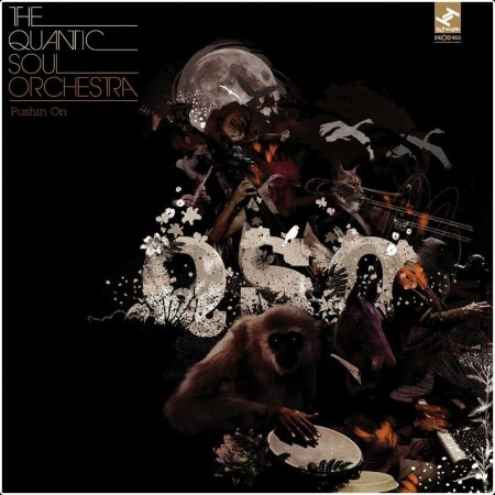 The Quantic Soul Orchestra - Pushin On- 2005