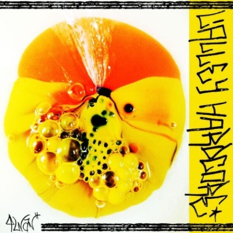 Qwan - Valley Hardcore (2026) flac