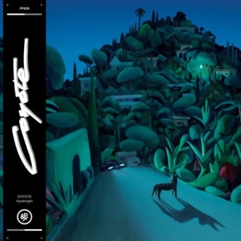 Coyote - Nyabinghi (2026) mp3