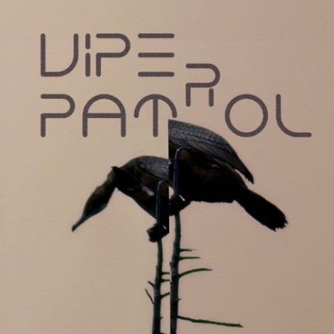 Viper Patrol - EN-EM-ME (2026) mp3