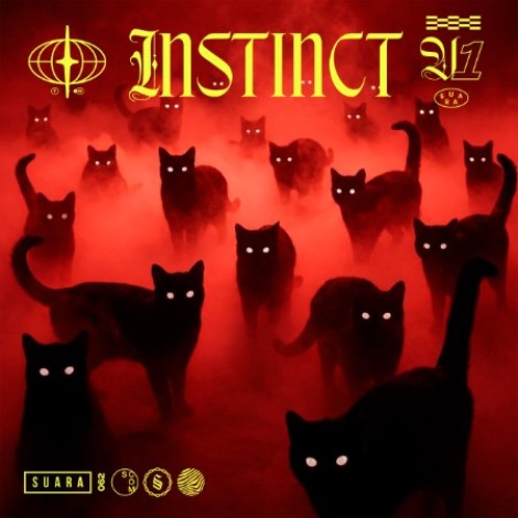 VA - Instinct (2026) flac