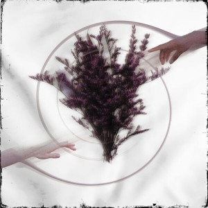 Take the Name - Limerence (2026)