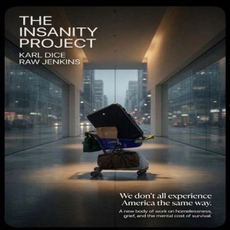 Dice Raw - The Insanity Project (2026) flac