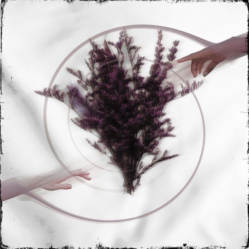 Take the Name - Limerence (2026)