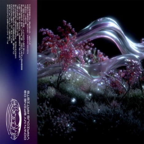 VA - Down My Spine 03 (2026) flac
