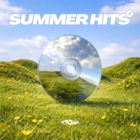 VA - RAW Summer Hits 7 (2026) mp3