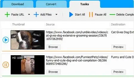 Social Media Downloader 8.5.5 (x64)