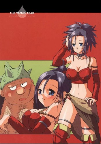 Hime Mania - The Venus Tear (Dragon Quest VIII) Hentai Comics