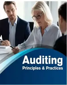 Auditing Principles & Practices