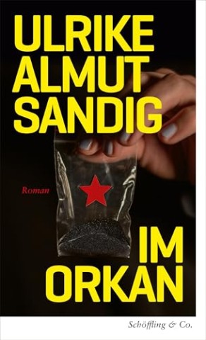 Cover: Sandig, Ulrike Almut - Im Orkan
