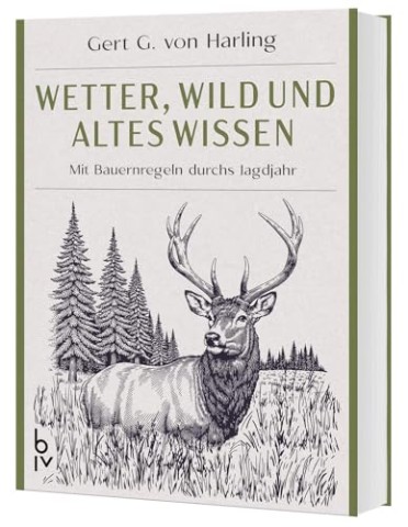 Cover: Wilde, A.G. & Wilde, Ag - Kyro: Ein Sci-Fi Alien Liebesroman (Von Aliens Entf&uuml;hrt 5)