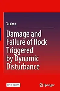 Damage and Failure of Rock Triggered by Dynamic Disturbance