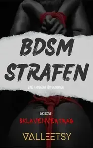 BDSM Strafen eine Anregung für Beginner  Inklusive Sklavenvertrag
