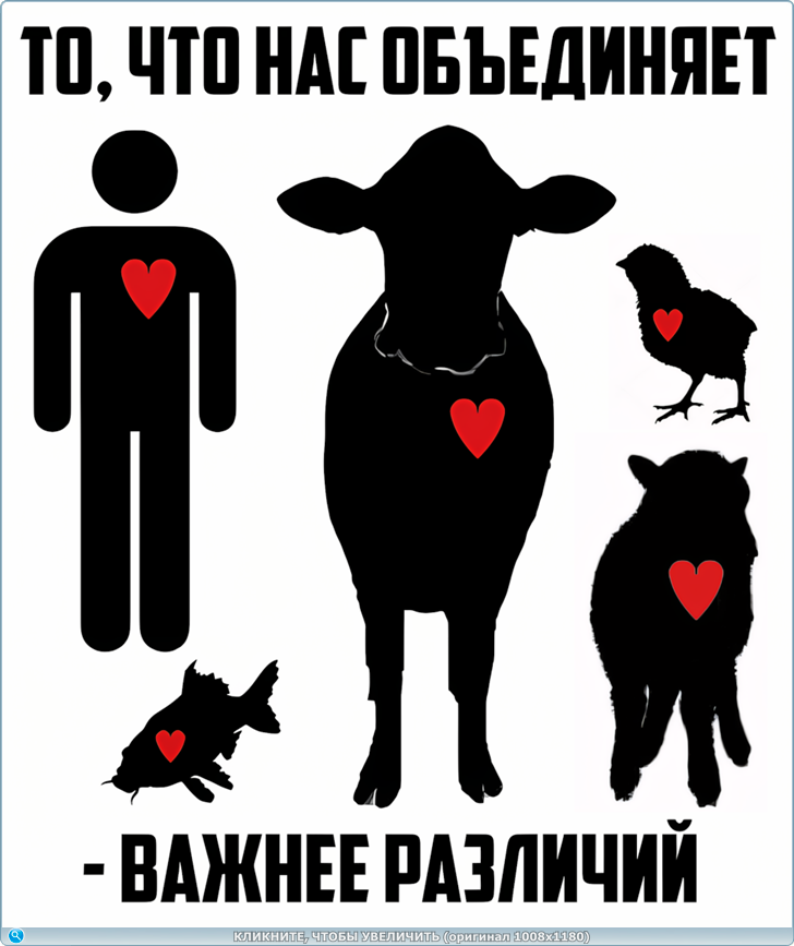 https://i127.fastpic.org/big/2026/0622/72/c4377c7e41289eb2bd943afb913a8d72.png