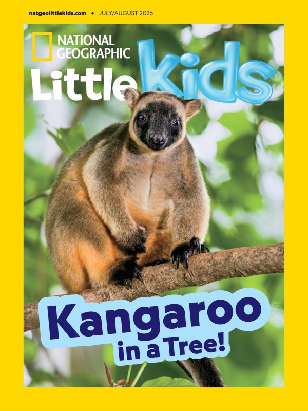 National Geographic Little Kids USA - July/August 2026