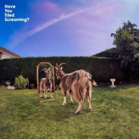 Daydreamers - Have You Tried Screaming? (2026) mp3