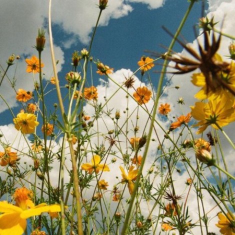 Tasha - You Are Spring! (2026) mp3