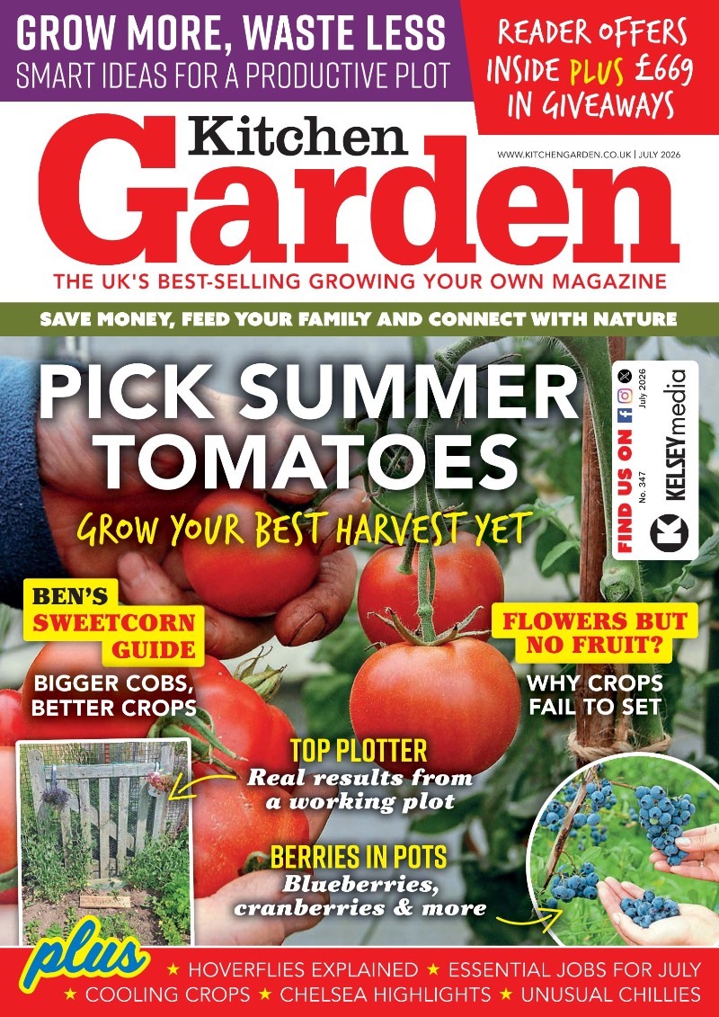 Kitchen Garden - July 2026