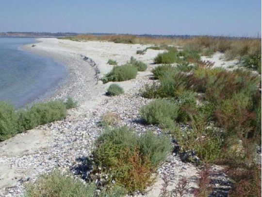 Геополітика та логістика: чому Кінбурнська коса стала пасткою для окупантів