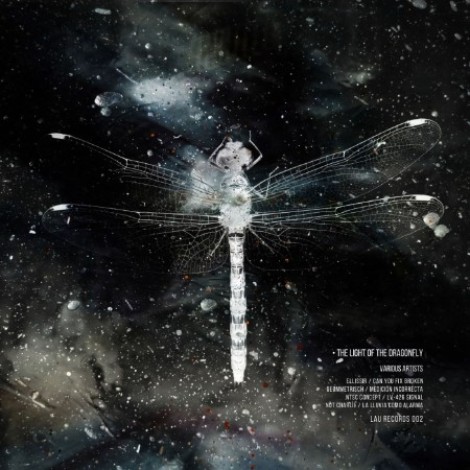 VA - The Light of the Dragonfly (2026) mp3