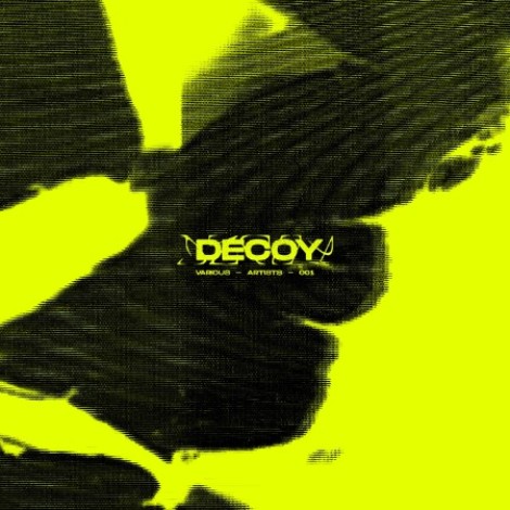 VA - DECOY VA001 (2026) mp3