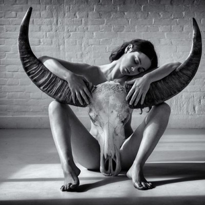 Exotic Dance Songs Vol.428 (2026)