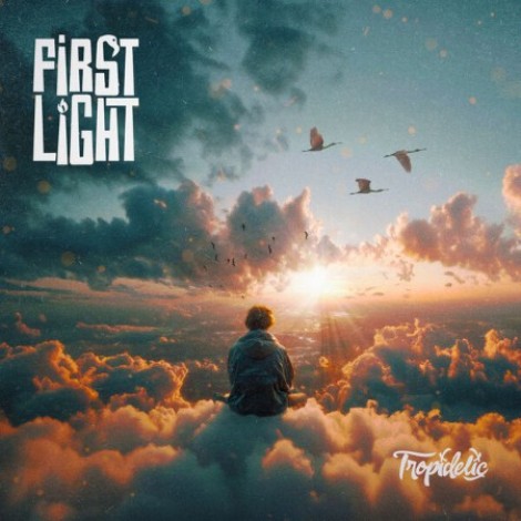 VA - First Light (2026) flac