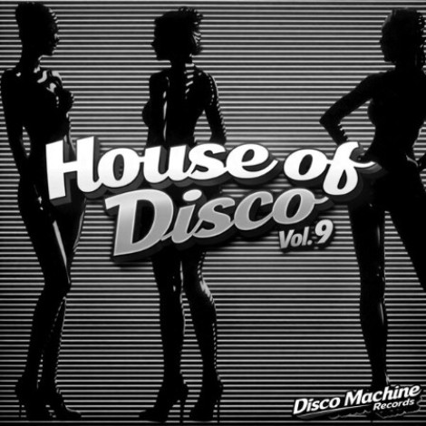 VA - House of Disco Vol. 9 (2026) mp3