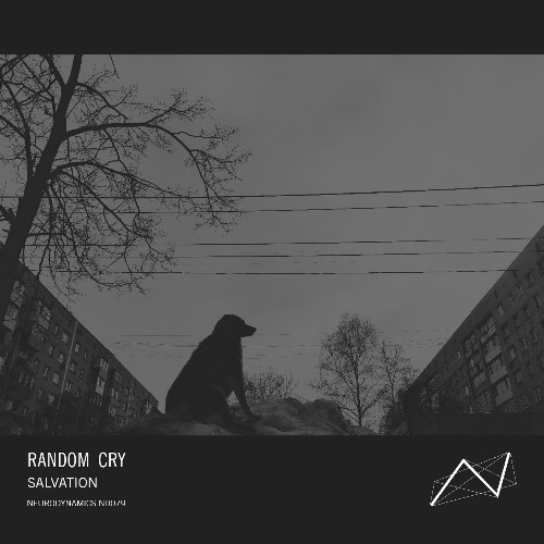  Random Cry - Salvation (2026) 
