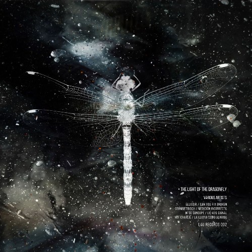 The Light of the Dragonfly (2026)