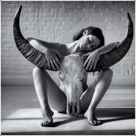 Various Artists - Exotic Dance Songs Vol 429